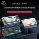 F87 Pro RGB | Teclado Mecânico AULA Gamer 87 Teclas, Bluetooth/USB/2.4G, Super Silencioso + HotSwap